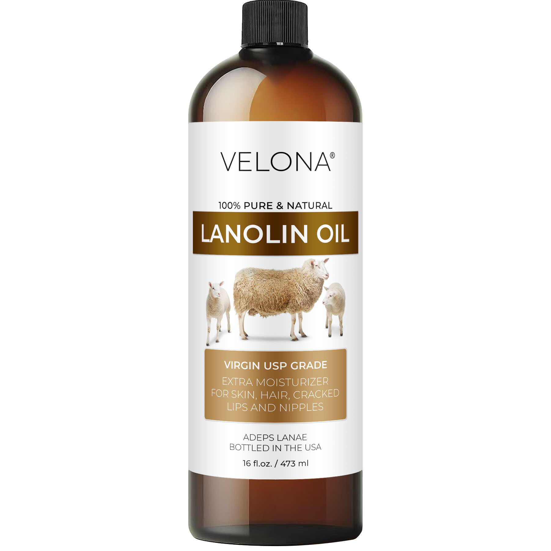 Lanolin Oil
